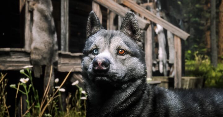 Snap Saturday: The Dogs of Red Dead Redemption 2