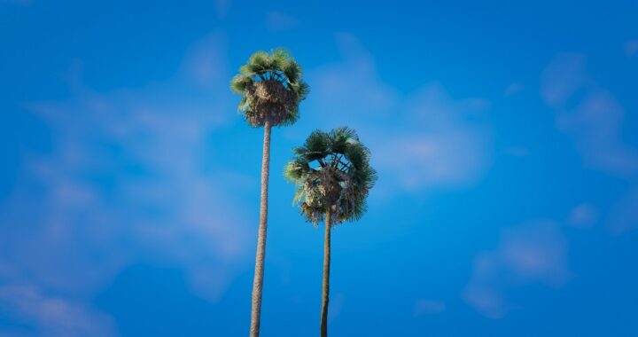 Snap “Saturday”: Summer’s on the Way
